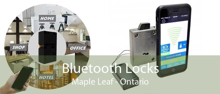Bluetooth Locks Maple Leaf - Ontario