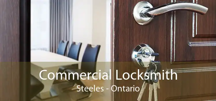 Commercial Locksmith Steeles - Ontario
