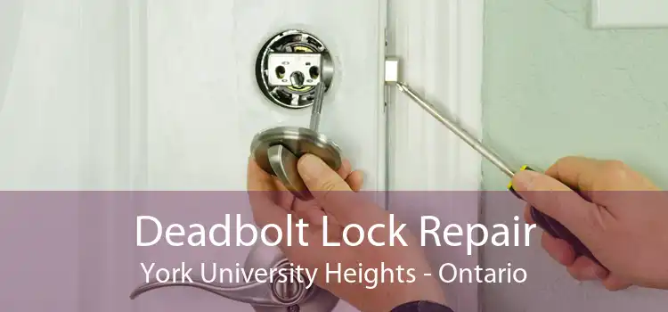 Deadbolt Lock Repair York University Heights - Ontario