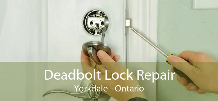 Deadbolt Lock Repair Yorkdale - Ontario