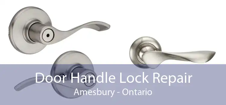 Door Handle Lock Repair Amesbury - Ontario