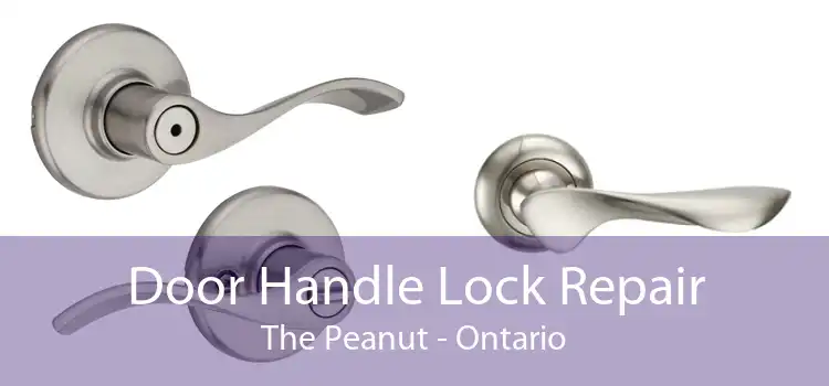 Door Handle Lock Repair The Peanut - Ontario