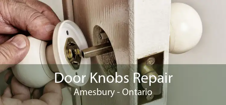 Door Knobs Repair Amesbury - Ontario