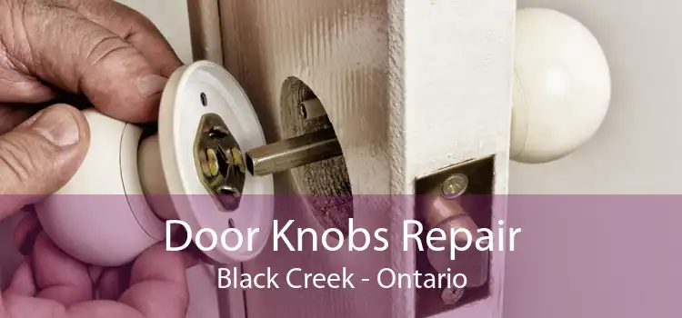 Door Knobs Repair Black Creek - Ontario