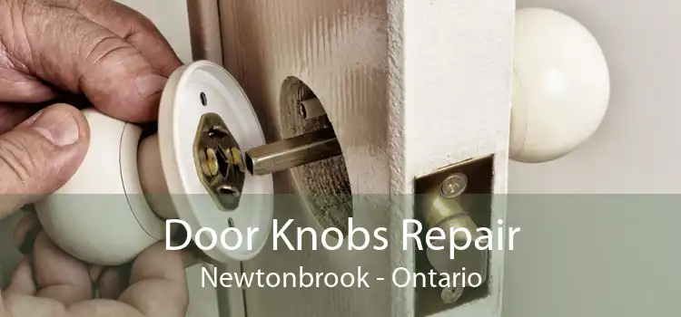 Door Knobs Repair Newtonbrook - Ontario