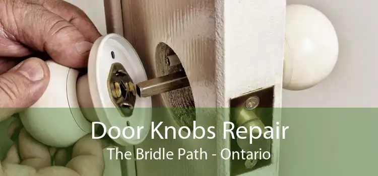 Door Knobs Repair The Bridle Path - Ontario