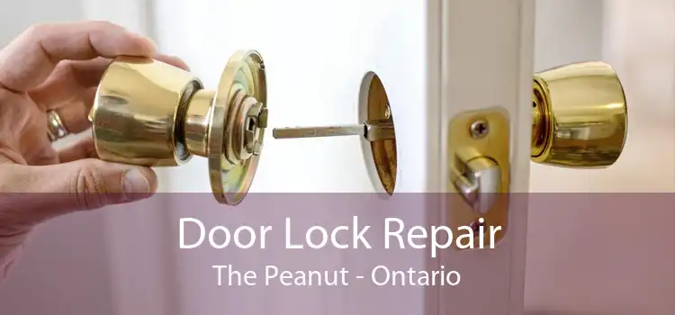 Door Lock Repair The Peanut - Ontario