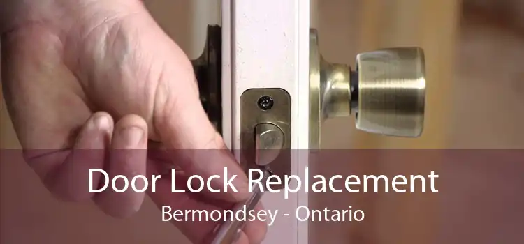 Door Lock Replacement Bermondsey - Ontario