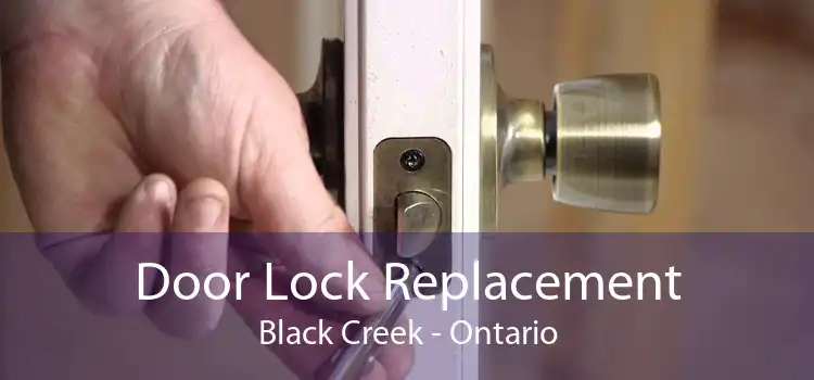 Door Lock Replacement Black Creek - Ontario