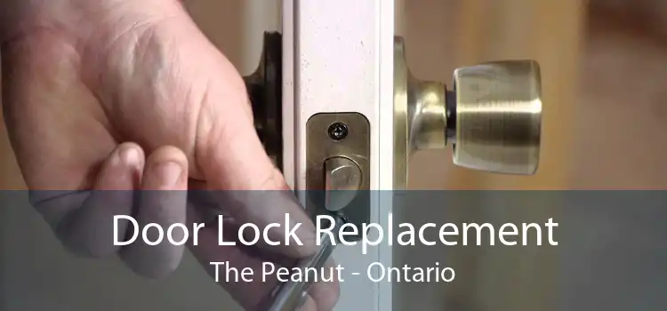Door Lock Replacement The Peanut - Ontario