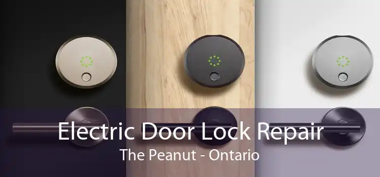 Electric Door Lock Repair The Peanut - Ontario