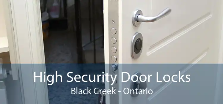 High Security Door Locks Black Creek - Ontario