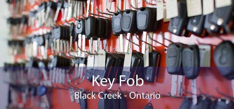 Key Fob Black Creek - Ontario