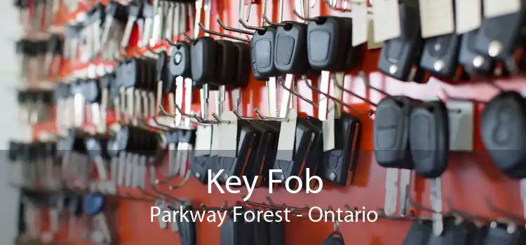 Key Fob Parkway Forest - Ontario