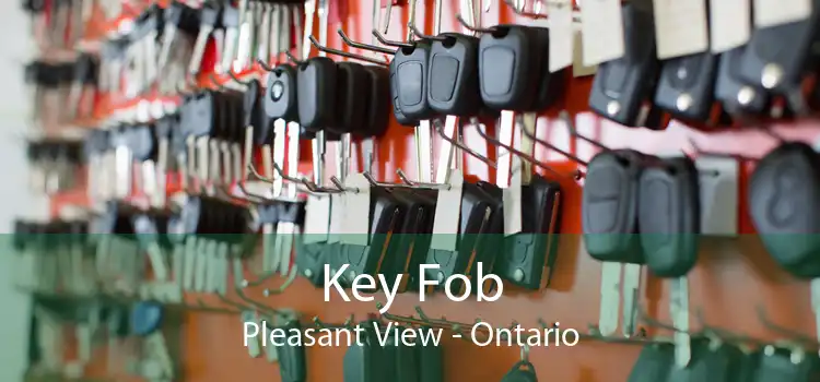 Key Fob Pleasant View - Ontario