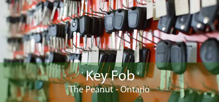 Key Fob The Peanut - Ontario