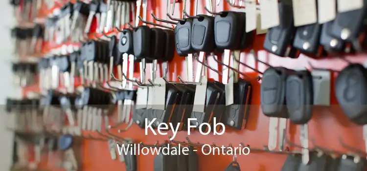 Key Fob Willowdale - Ontario