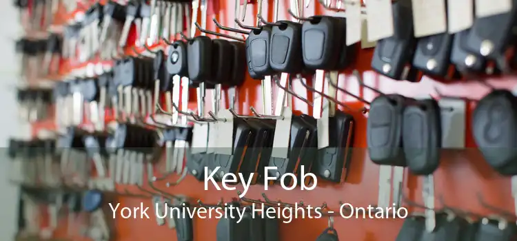 Key Fob York University Heights - Ontario