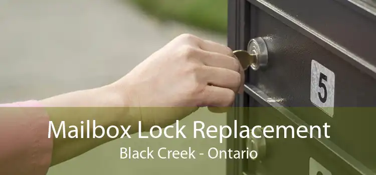 Mailbox Lock Replacement Black Creek - Ontario
