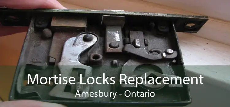 Mortise Locks Replacement Amesbury - Ontario