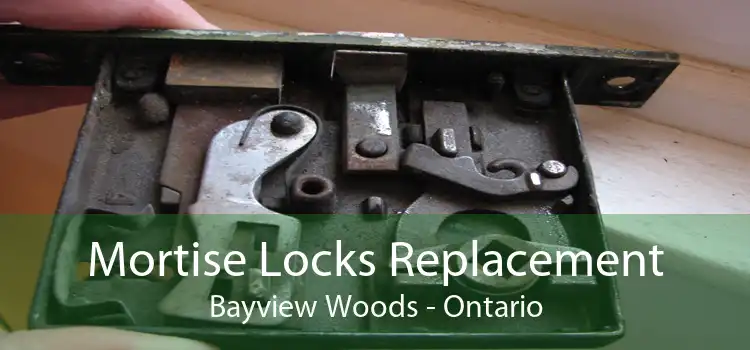 Mortise Locks Replacement Bayview Woods - Ontario