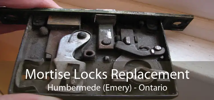 Mortise Locks Replacement Humbermede (Emery) - Ontario