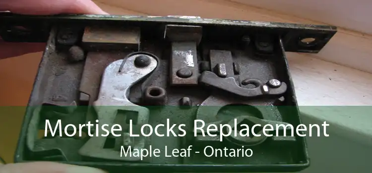 Mortise Locks Replacement Maple Leaf - Ontario