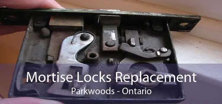 Mortise Locks Replacement Parkwoods - Ontario
