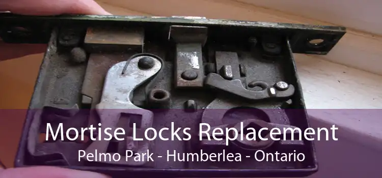 Mortise Locks Replacement Pelmo Park - Humberlea - Ontario