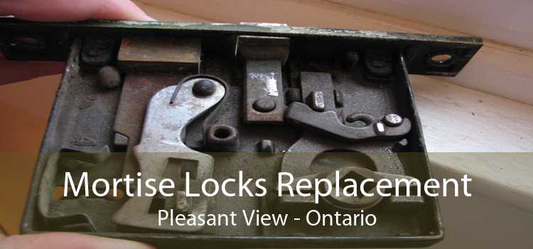 Mortise Locks Replacement Pleasant View - Ontario