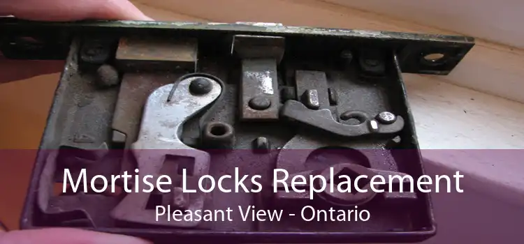 Mortise Locks Replacement Pleasant View - Ontario