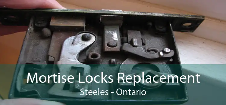 Mortise Locks Replacement Steeles - Ontario