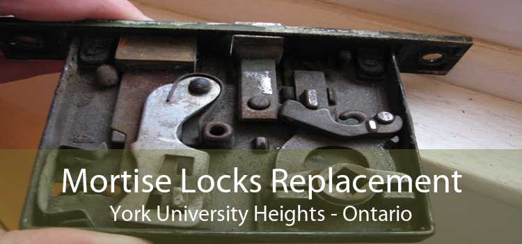 Mortise Locks Replacement York University Heights - Ontario