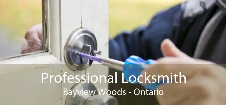 Professional Locksmith Bayview Woods - Ontario