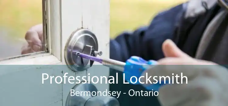 Professional Locksmith Bermondsey - Ontario