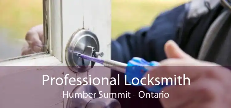 Professional Locksmith Humber Summit - Ontario