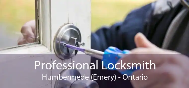 Professional Locksmith Humbermede (Emery) - Ontario