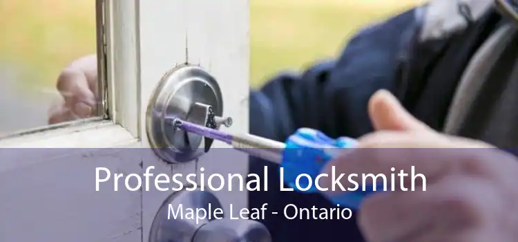 Professional Locksmith Maple Leaf - Ontario
