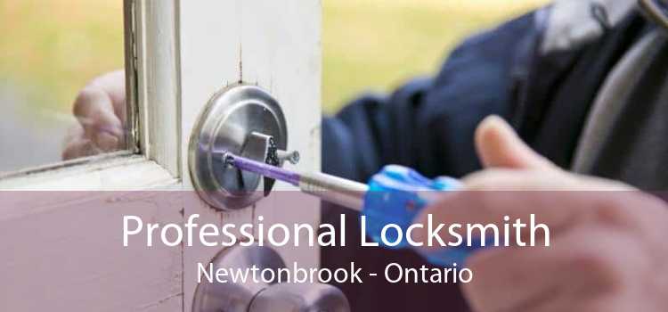 Professional Locksmith Newtonbrook - Ontario