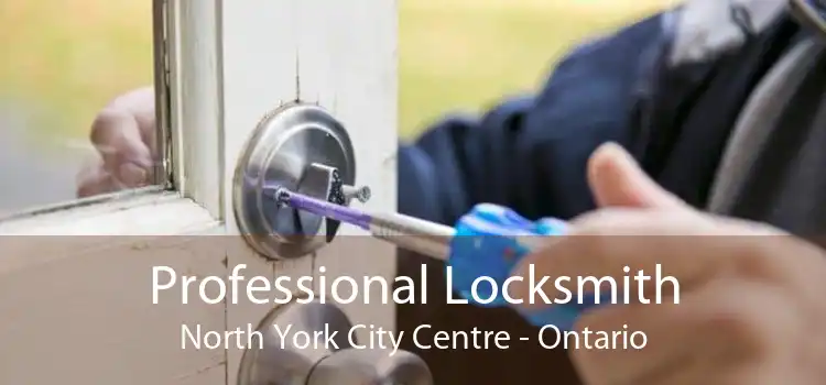 Professional Locksmith North York City Centre - Ontario