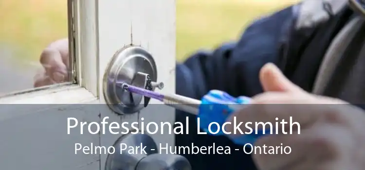 Professional Locksmith Pelmo Park - Humberlea - Ontario