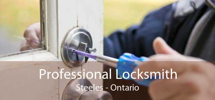 Professional Locksmith Steeles - Ontario