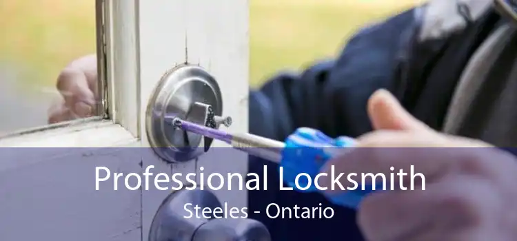 Professional Locksmith Steeles - Ontario