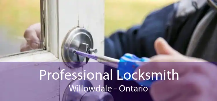 Professional Locksmith Willowdale - Ontario