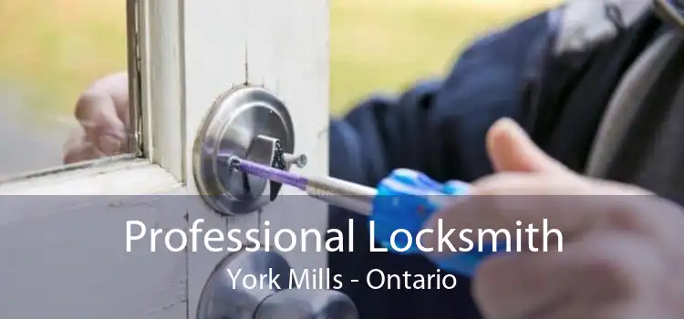 Professional Locksmith York Mills - Ontario