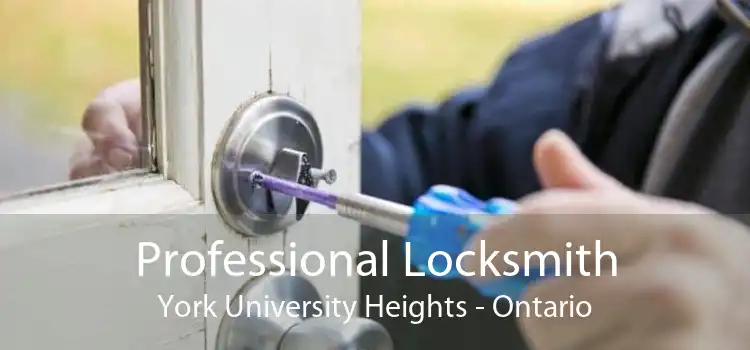 Professional Locksmith York University Heights - Ontario