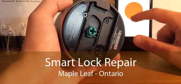 Smart Lock Repair Maple Leaf - Ontario