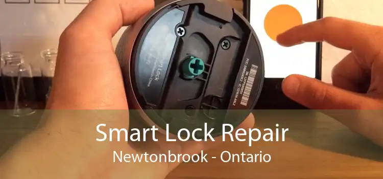 Smart Lock Repair Newtonbrook - Ontario