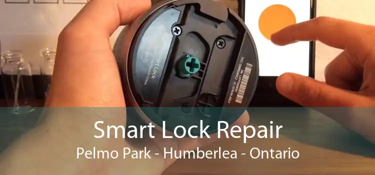 Smart Lock Repair Pelmo Park - Humberlea - Ontario