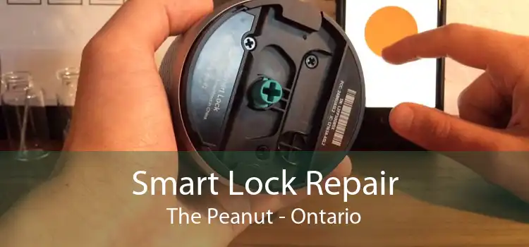 Smart Lock Repair The Peanut - Ontario